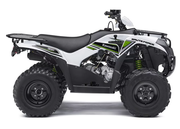 KAWASAKI BRUTE FORCE 300