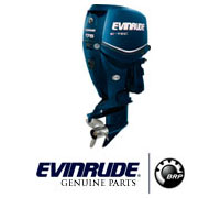 Запчасти для Evinrude