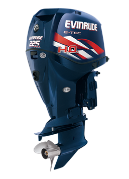 EVINRUDE 225 DE225CXINS